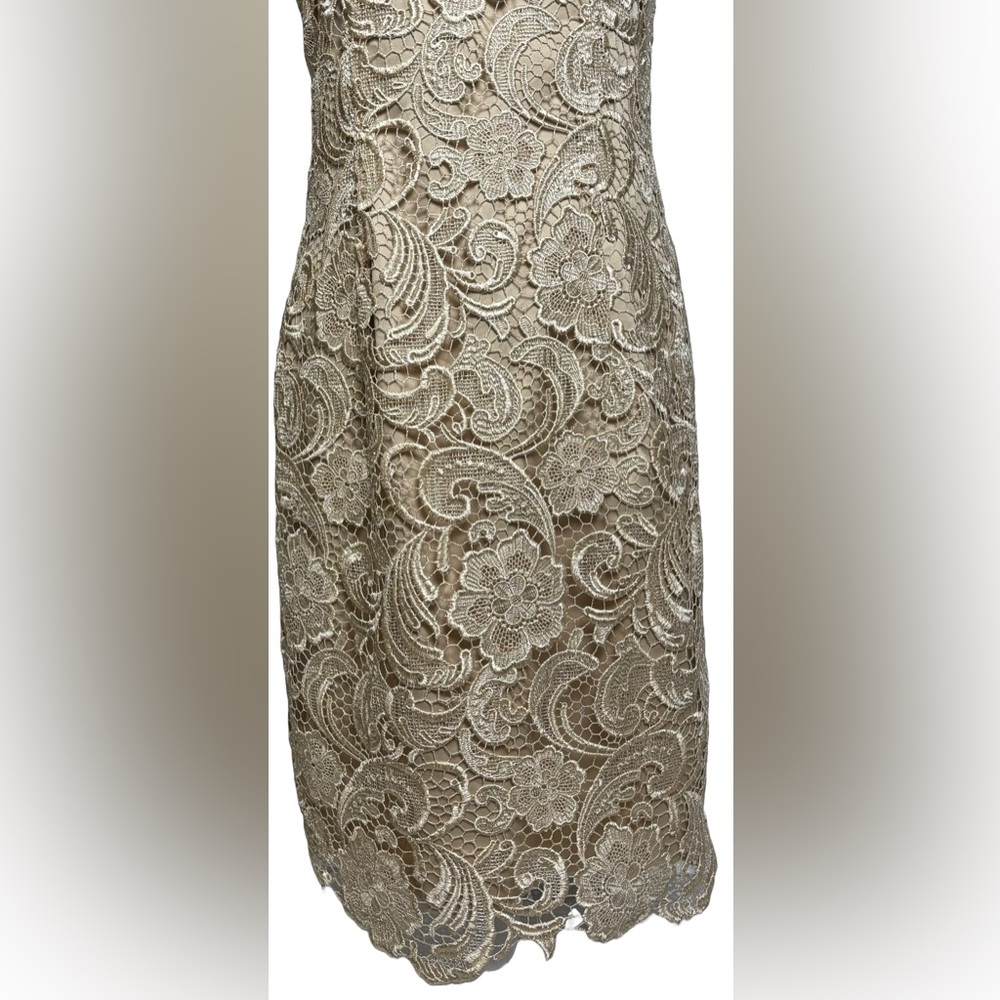 Adrianna Papell Beige Illusion Bodice Lace Sheath Dress - Picture 5 of 8